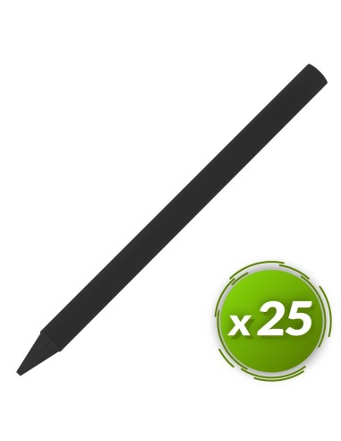 Ceras plastidecor BIC 25u