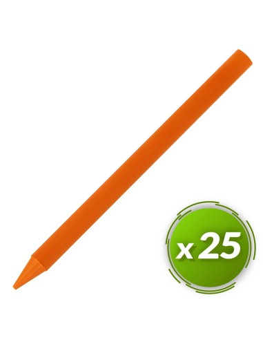 Ceras plastidecor BIC 25u