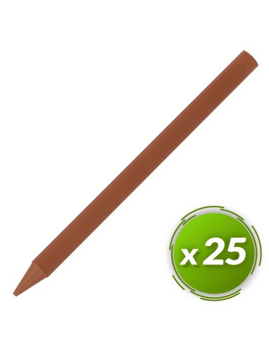 Ceras plastidecor BIC 25u