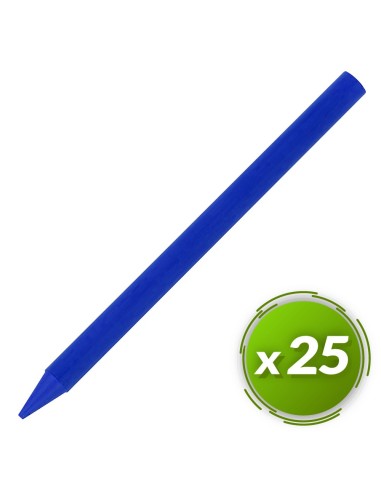 Ceras plastidecor BIC 25u