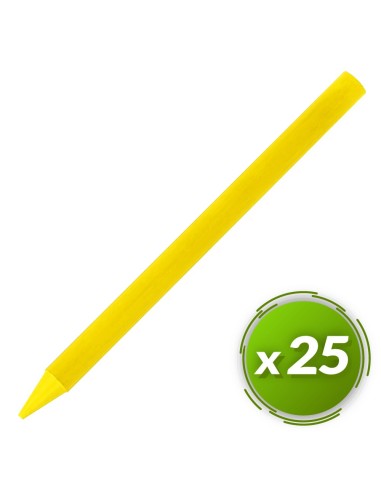 Ceras plastidecor BIC 25u