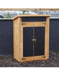 Cobertizo Biblioteca patio 2