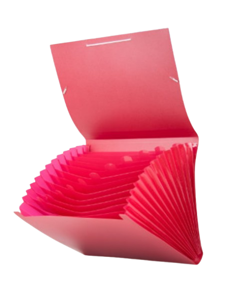 Carpeta clasificadora A4 12 compartimentos con gomas