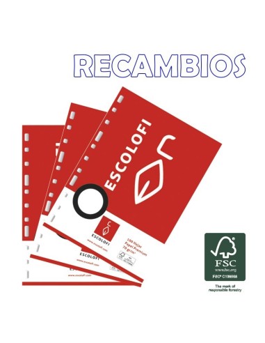 Recambios A4 100h ESCOLOFI