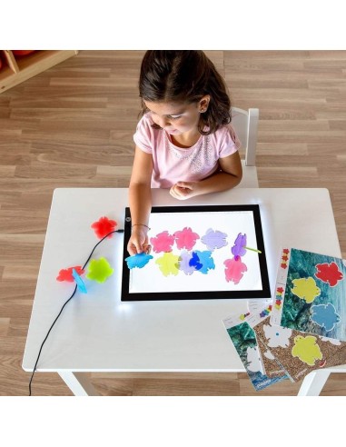 Tortugas translúcidas