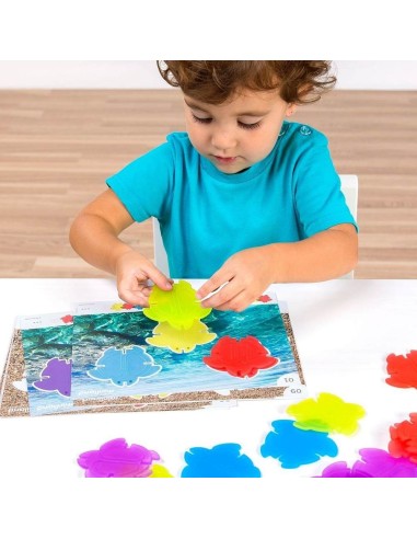 Tortugas translúcidas