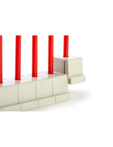 Abacus multibase Activity