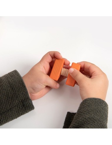 Tornillos y tuercas madera arco iris 21u