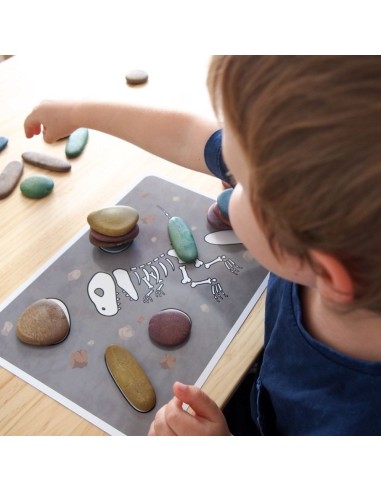 Piedras arco iris ECO