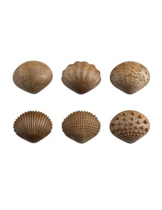 Conchas táctiles ECO 36u