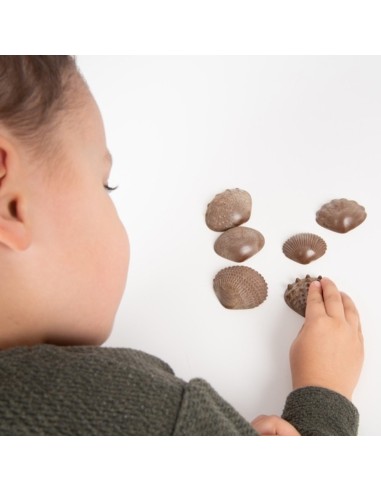 Conchas táctiles ECO 36u