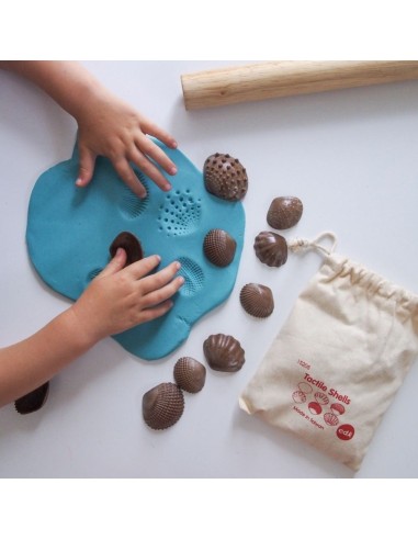 Conchas táctiles ECO 36u