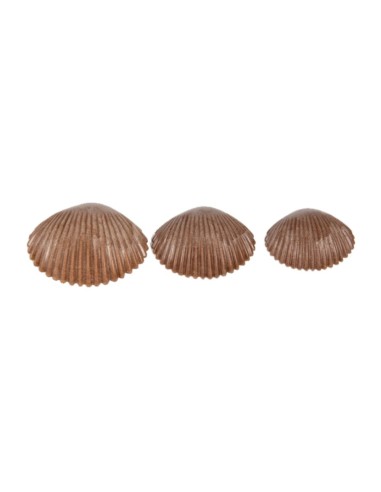 Conchas táctiles ECO 36u