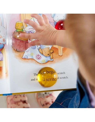 Semiesferas de percepción 8u