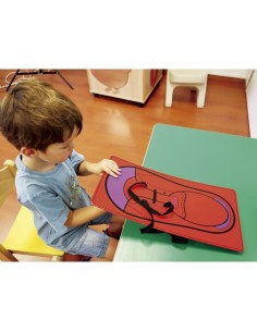 Átame zapato gigante 2