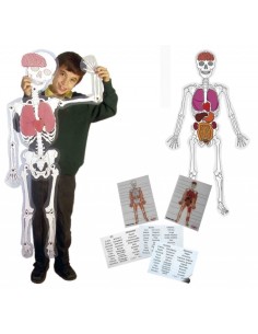 Skeleton man - Hombre esqueleto