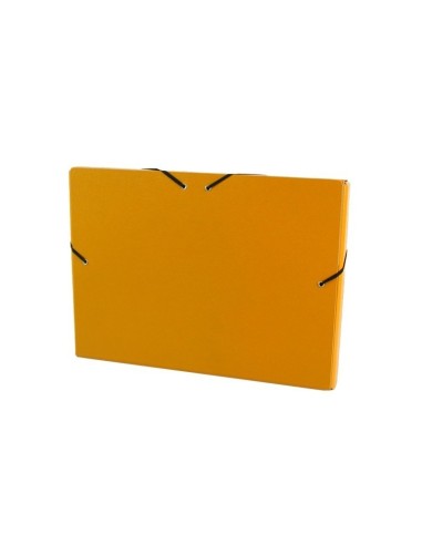 Carpeta de proyectos de cartón con gomas