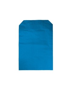 Bolsas de papel para disfraz 10u 2