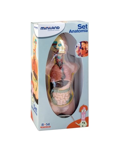 Set de anatomía (11 piezas)