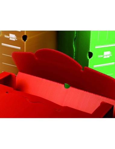 Archivador definitivo Fº plástico 5u