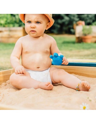 Arenero de madera con Almacenamiento