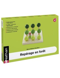 Orientación En En Bosque