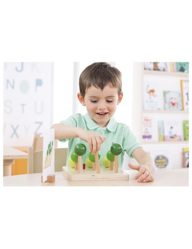 Orientación En En Bosque