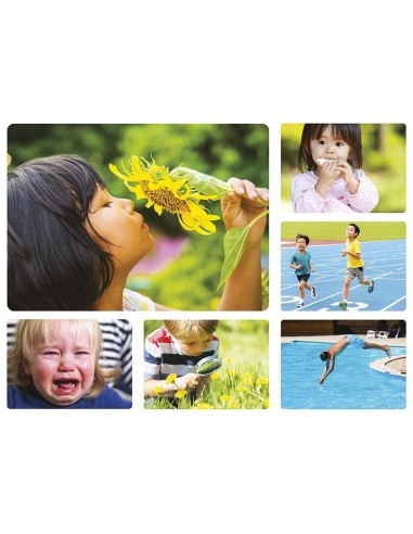 Fotoimágenes Los Verbos