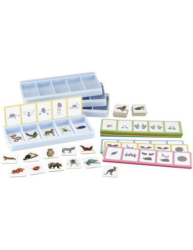 Taller De Clasificación Los Animales