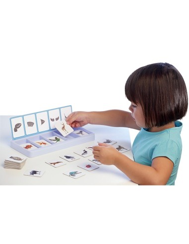 Taller De Clasificación Los Animales