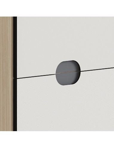 Taquilla alta puertas DOT197T